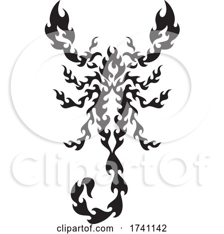 Black and White Flaming Scorpion from Above by Any Vector