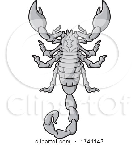 Grayscale Scorpion from Above by Any Vector