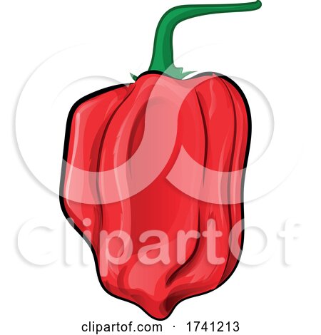 Red Habanero Pepper by Domenico Condello