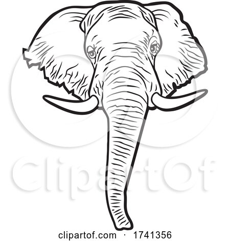 Elephant Mascot in Black and White by Johnny Sajem