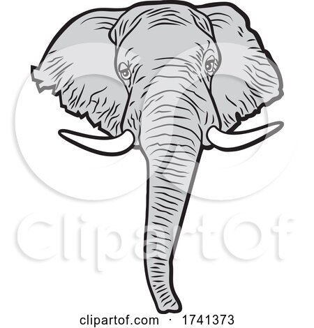Elephant Mascot by Johnny Sajem