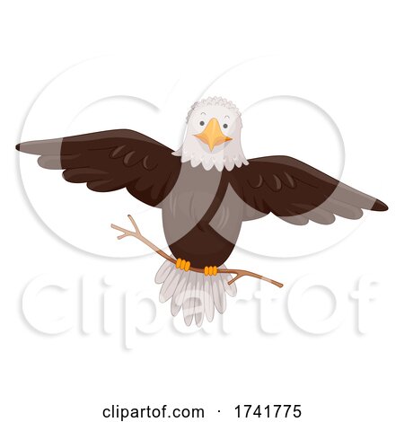 Bald Eagle Hold Stick Flying Illustration by BNP Design Studio
