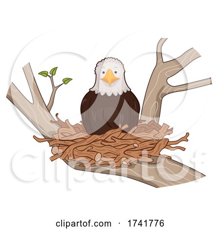 Bald Eagle Stick Nest Tree Illustration by BNP Design Studio
