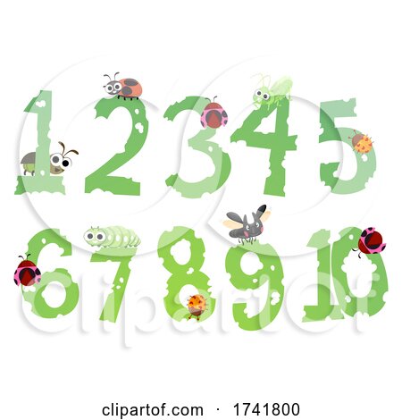 Bugs Leaves Numbers Illustration by BNP Design Studio