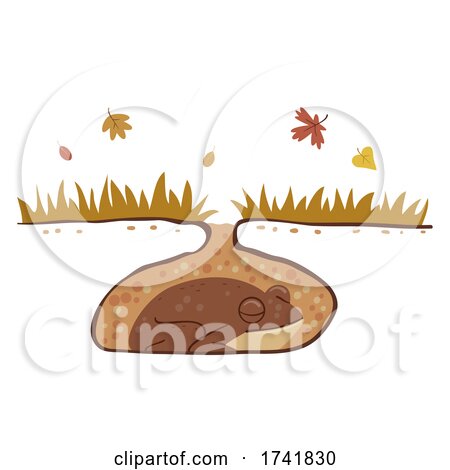 Frog Hibernation Autumn Illustration by BNP Design Studio
