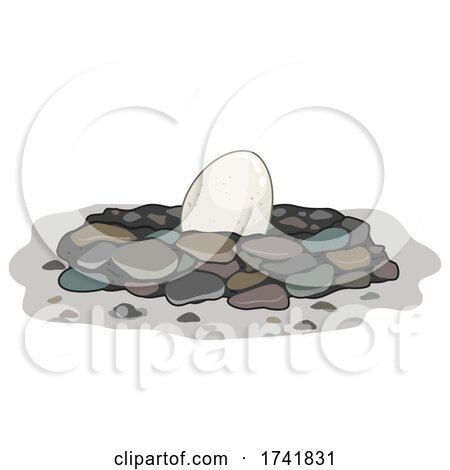 Egg Stone Nest Illustration by BNP Design Studio