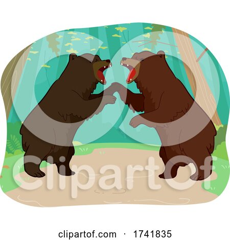Competition Bears Illustration by BNP Design Studio
