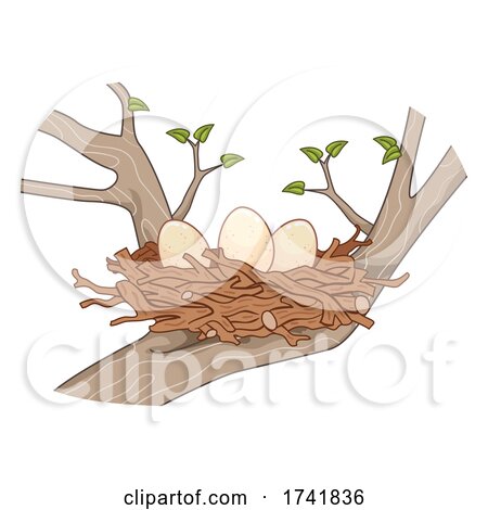 Eggs Sticks Bird Nest Tree Illustration by BNP Design Studio