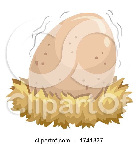 Egg Shake Nest Illustration by BNP Design Studio