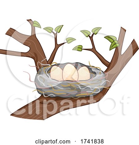 Eggs Birds Hair Nest Tree Illustration by BNP Design Studio