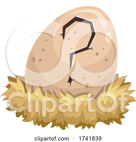 Egg Question Mark Crack Hatch Nest Illustration by BNP Design Studio