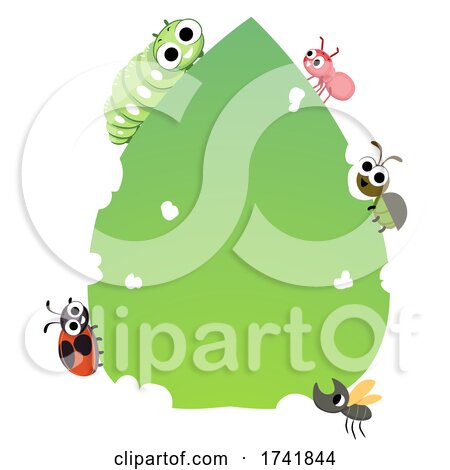 Bugs Leaf Board Illustration by BNP Design Studio