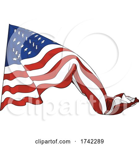American Flag by dero