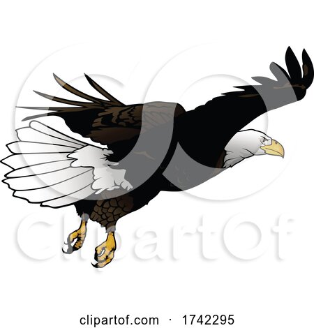 Bald Eagle by dero