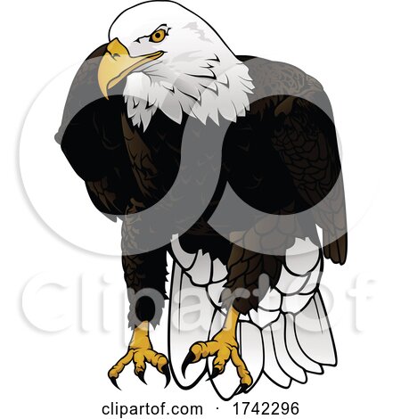 cartoon eagle clip art