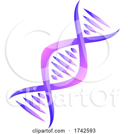 Dna Strand by Vector Tradition SM