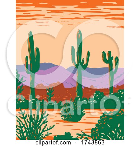 Saguaro Cactus in Sonoran Desert National Monument Located South of Buckeye and East of Gila Bend Arizona WPA Poster Art by patrimonio
