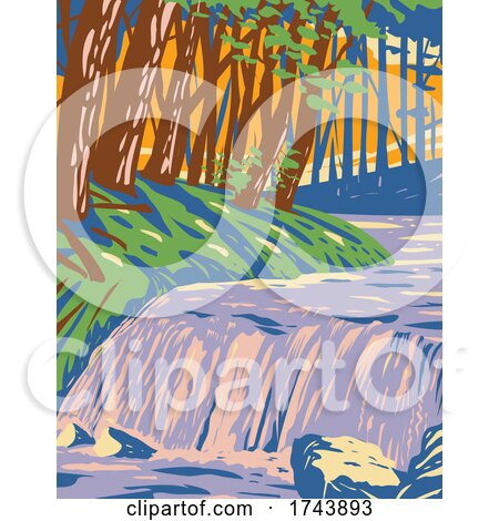 The Boykin Creek Waterfall in Angelina National Forest Located in East Texas in San Augustine Angelina Jasper and Nacogdoches County WPA Poster Art by patrimonio