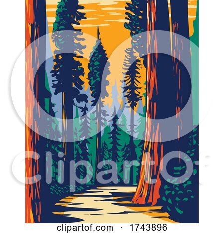SimpsonReed Grove of Coast Redwoods Located in Jedediah Smith State Park Part of Redwood National and State Parks in California WPA Poster Art by patrimonio