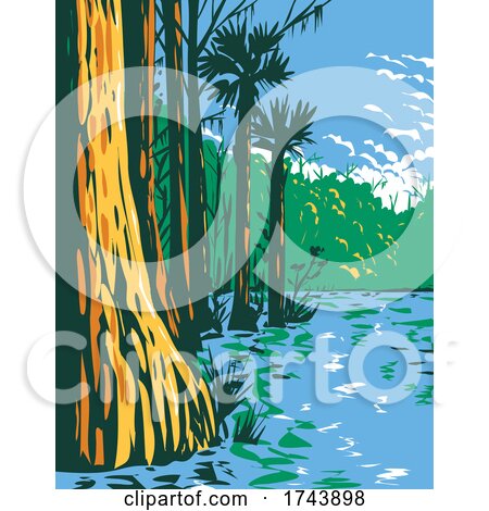Subtropical Wetlands in Everglades National Park in the State of Florida WPA Poster Art by patrimonio