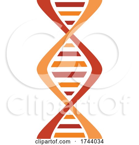 DNA Strand Double Helix by Vector Tradition SM