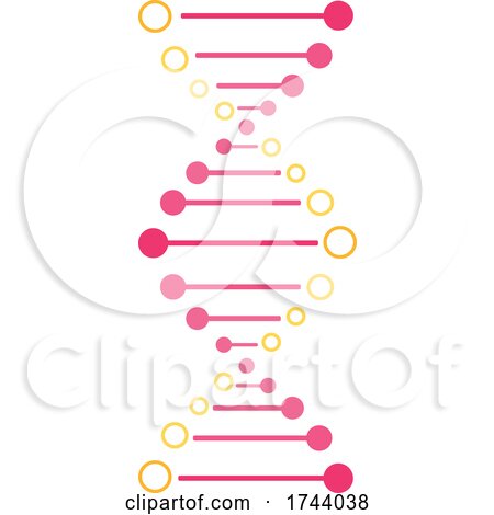 DNA Strand Double Helix by Vector Tradition SM