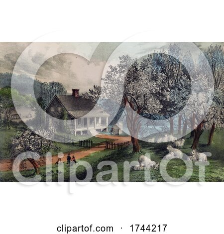 American Homestead in the Spring with Blossoming Trees and Sheep by JVPD