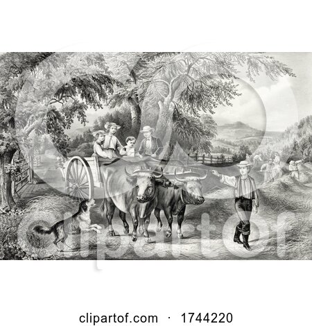 Oxen Pulling People in a Wagon on a Hay Farm by JVPD