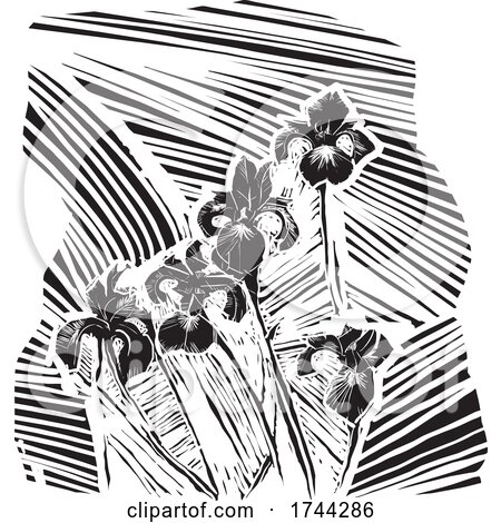 Woodcut Iris Flowers by xunantunich