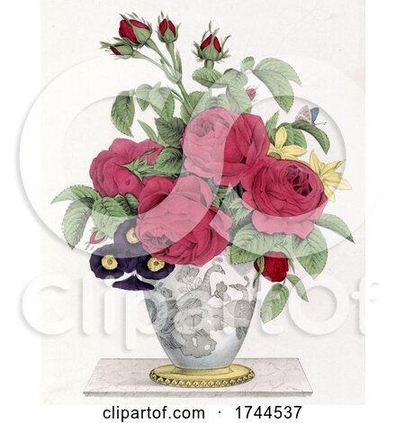 Peacock Vase of Flowers on a White Background by JVPD