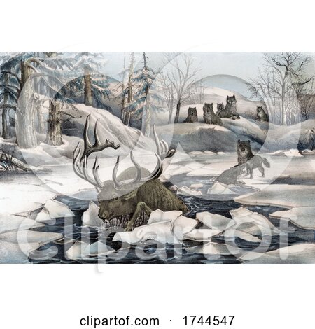 Moose Thinly Escaping the Hunt of Wolves by Falling Through an Icy Lake by JVPD