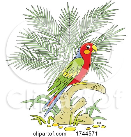 Scarlet Macaw Parrot by Alex Bannykh