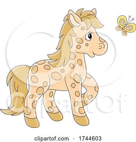 cute baby horse clipart