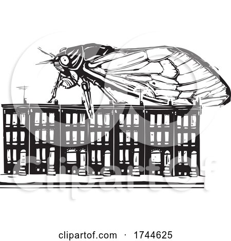 Woodcut Cicada on Top of Row Houses by xunantunich