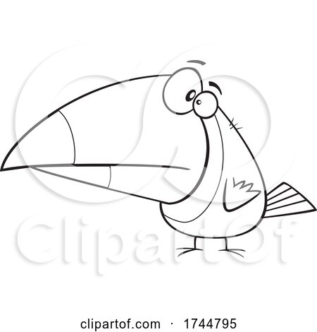 Cartoon Black and White Toucan by toonaday