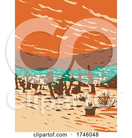 Turkey Flats Sand Dunes Located in Joshua Tree National Park in California WPA Poster Art by patrimonio
