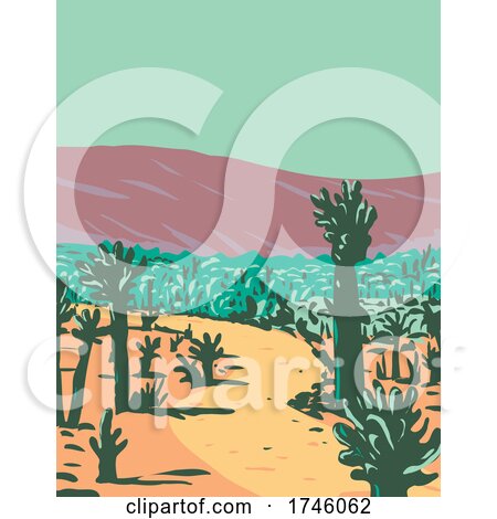 Cholla Cactus Garden Nature Trail near Desert Hot Springs Located in Joshua Tree National Park in California WPA Poster Art by patrimonio