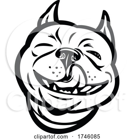 Laughing Boston Terrier Boston Bull Boston Bull Terrier Boxwood or American Gentlemen with Tongue out Front View Mascot Retro Style by patrimonio