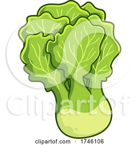 Cartoon Lettuce by Hit Toon