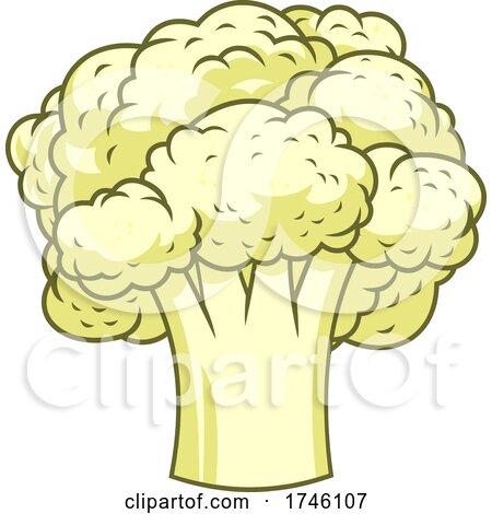 Cartoon Cauliflower by Hit Toon