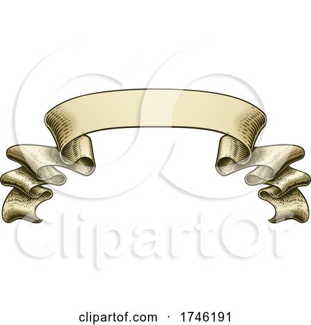 Scroll Vintage Woodcut Banner Paper Ribbon Drawing Stock Illustration -  Download Image Now - Ancient, Antique, Arm - iStock