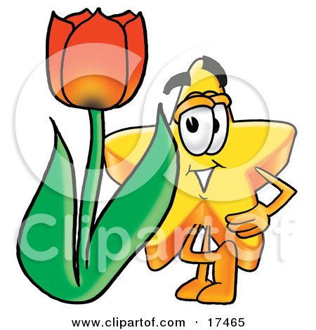 Clipart Picture of a Star Mascot Cartoon Character With a Red Tulip Flower in the Spring by Mascot Junction