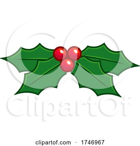 Christmas Holly Berries and Leaves by Hit Toon