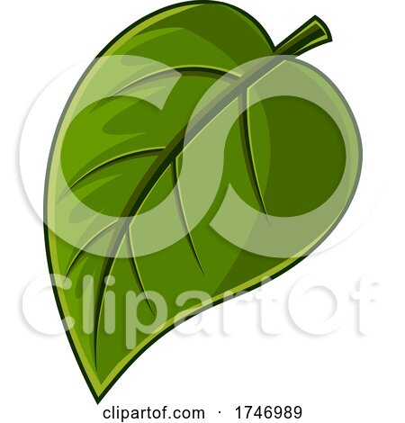 Green Leaf by Hit Toon