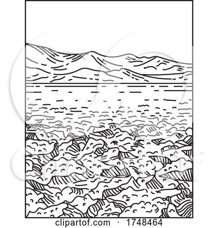 Devil's Golf Course Located in the Mojave Desert Within Death Valley National Park, California United States Mono Line or Monoline Black and White Line Art by patrimonio