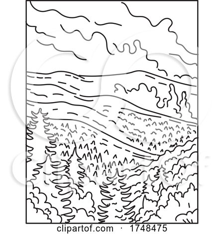 Great Smoky Mountains National Park Between the Border North Carolina and Tennessee United States Mono Line or Monoline Black and White Line Art by patrimonio