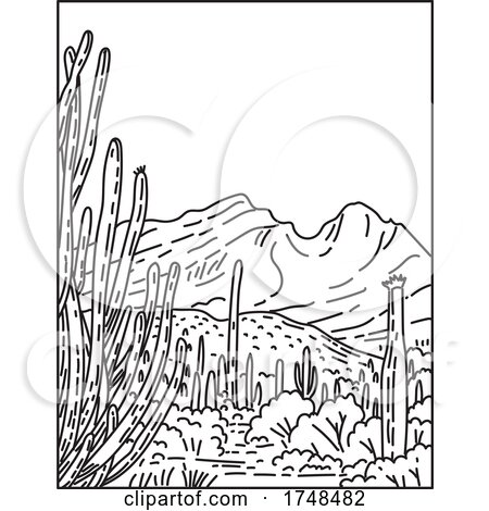Organ Pipe Cactus National Monument in the Sonoran Desert Located in Extreme Southern Arizona United States Mono Line or Monoline Black and White Line Art by patrimonio