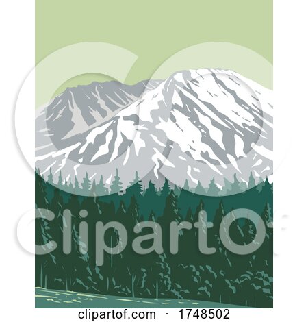 Mt Saint Helens in Mount St Helens National Volcanic Monument Located in Gifford Pinchot National Forest, Washington State United States WPA Poster Art by patrimonio