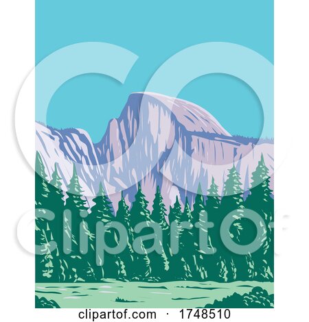 The Half Dome at the Eastern End of Yosemite Valley in Yosemite National Park California WPA Poster Art by patrimonio