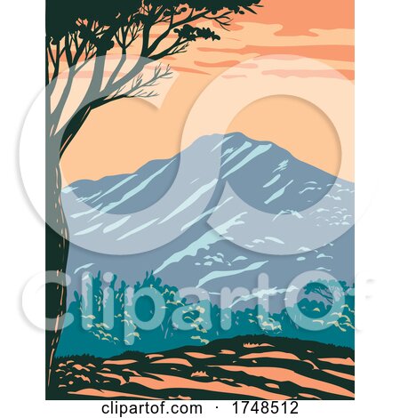 The Peak of Mount Tamalpais or Mount Tam Located Within Mt Tamalpais State Park in Marin County California United States of America WPA Poster Art by patrimonio
